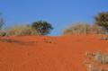 Dune dans le Kahalari